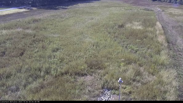 Cell 1_23-10-02_15-05-48-72