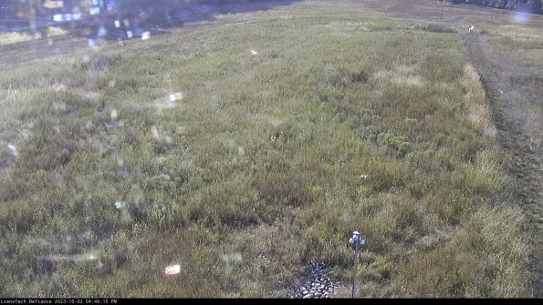 Cell 1_23-10-02_16-46-15-71