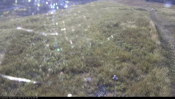 Cell 1_23-10-02_17-19-44-70