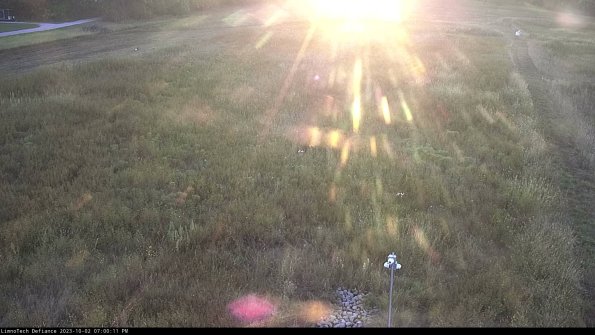 Cell 1_23-10-02_19-00-11-68