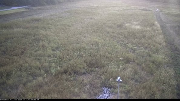 Cell 1_23-10-02_19-33-41-70