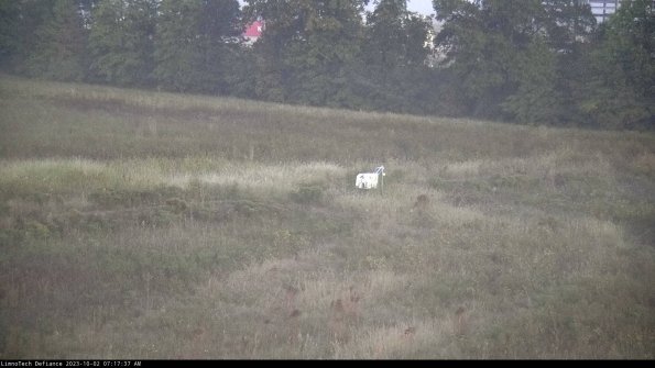 Cell 2 to 3_23-10-02_07-17-37-89