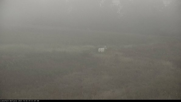 Cell 2 to 3_23-10-02_07-51-07-71