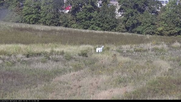 Cell 2 to 3_23-10-02_11-12-02-86