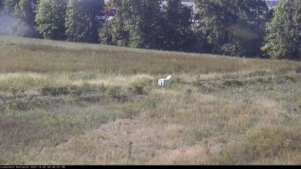 Cell 2 to 3_23-10-02_16-46-55-82