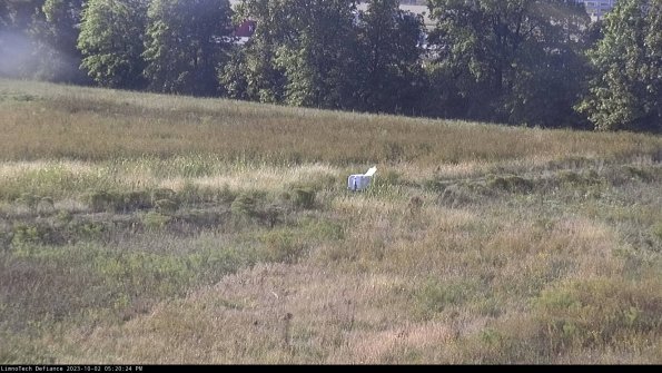 Cell 2 to 3_23-10-02_17-20-24-77