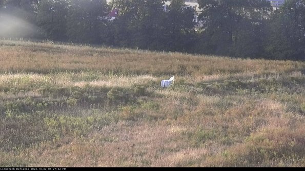 Cell 2 to 3_23-10-02_18-27-22-80