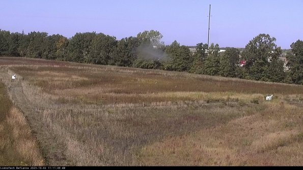 Cell 2_23-10-02_11-11-49-75