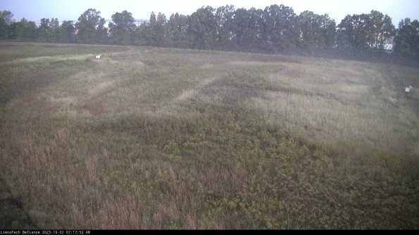 Cell 3_23-10-02_07-17-52-71