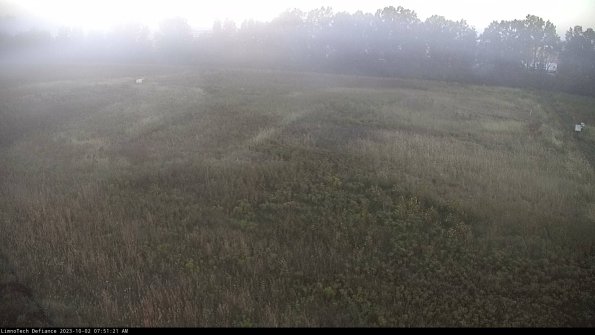 Cell 3_23-10-02_07-51-21-89