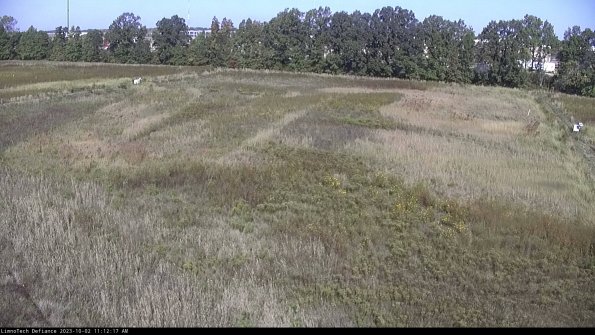 Cell 3_23-10-02_11-12-17-68