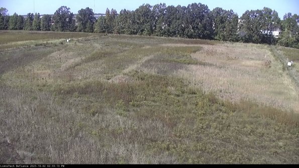 Cell 3_23-10-02_14-33-13-69