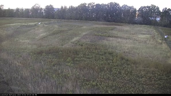 Cell 3_23-10-02_19-01-06-71