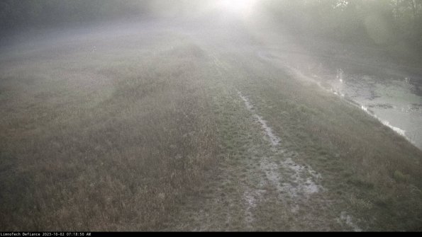 Cell 4 to Basin_23-10-02_07-18-50-70