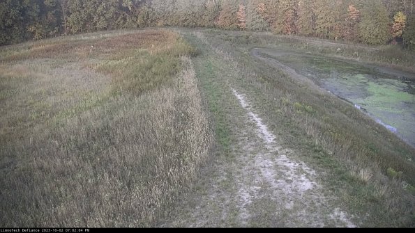 Cell 4 to Basin_23-10-02_19-02-04-70