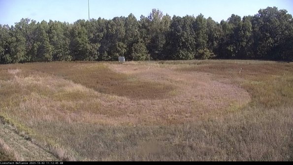 Cell 4_23-10-02_11-12-45-71