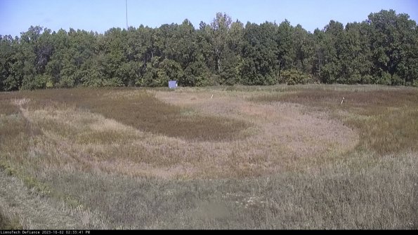 Cell 4_23-10-02_14-33-41-69