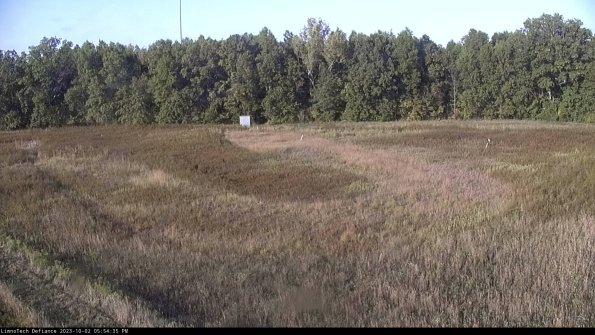 Cell 4_23-10-02_17-54-35-70