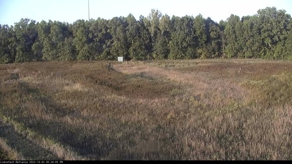 Cell 4_23-10-02_18-28-05-71