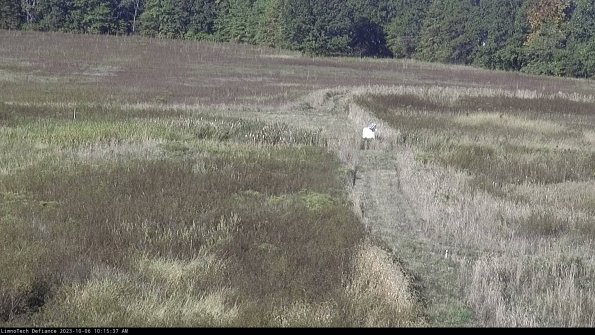 Cell 1 to 2_23-10-06_10-15-37-98