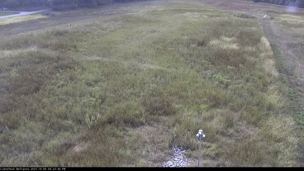 Cell 1_23-10-06_16-23-44-98