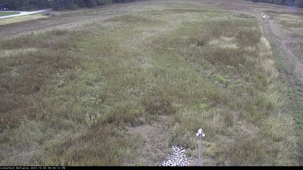 Cell 1_23-10-06_18-04-13-01