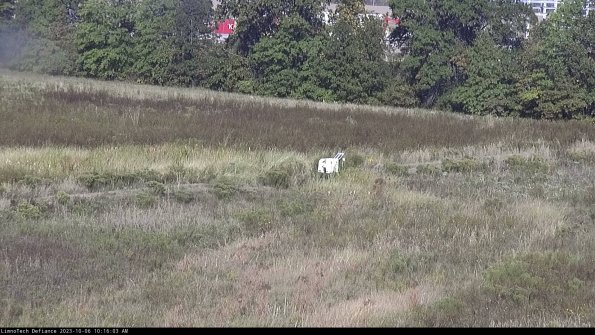 Cell 2 to 3_23-10-06_10-16-04-17