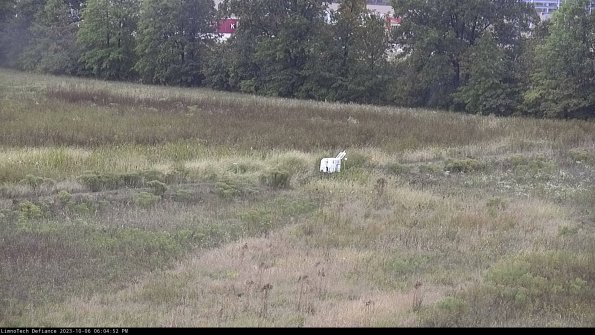 Cell 2 to 3_23-10-06_18-04-53-08