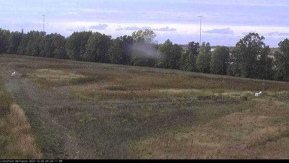 Cell 2_23-10-06_16-24-12-01