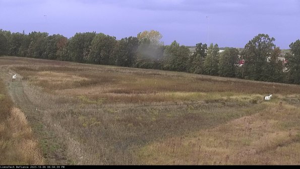 Cell 2_23-10-06_18-04-40-03