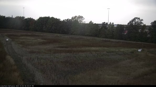 Cell 2_23-10-06_18-38-08-05