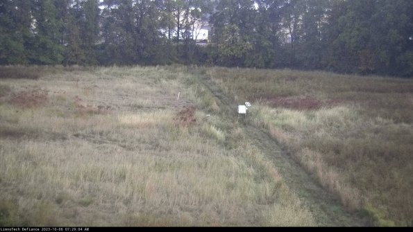 Cell 3 to 4_23-10-06_07-29-05-00