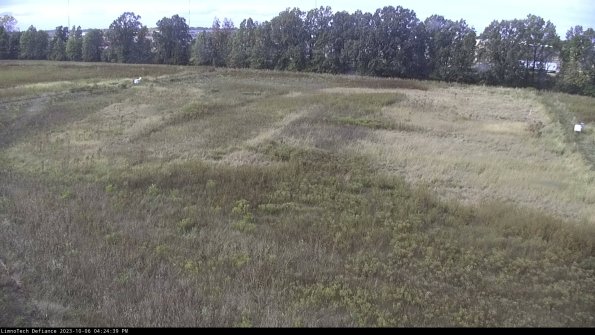 Cell 3_23-10-06_16-24-40-00