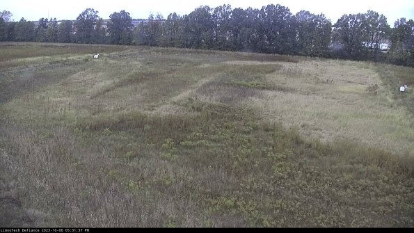 Cell 3_23-10-06_17-31-37-98