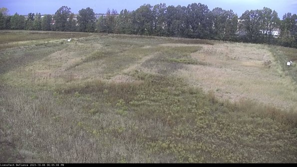 Cell 3_23-10-06_18-05-07-26