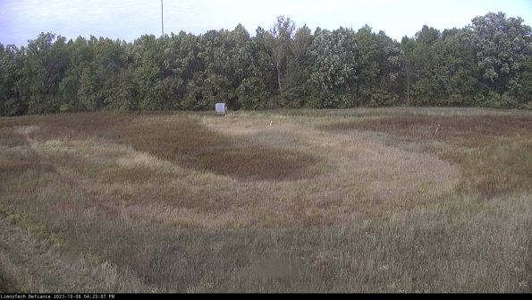 Cell 4_23-10-06_16-25-08-00