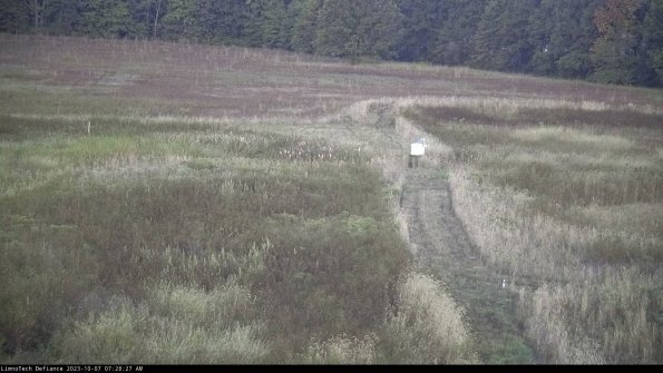 Cell 1 to 2_23-10-07_07-28-27-99