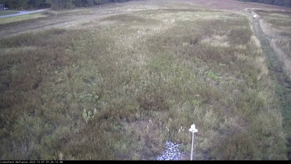 Cell 1_23-10-07_07-28-13-98