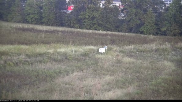 Cell 2 to 3_23-10-07_07-28-54-05