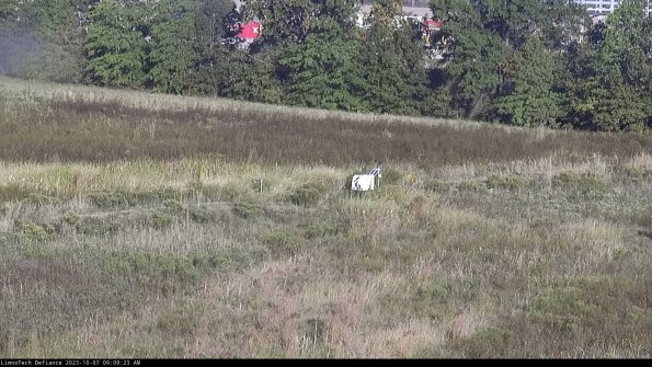 Cell 2 to 3_23-10-07_09-09-24-00