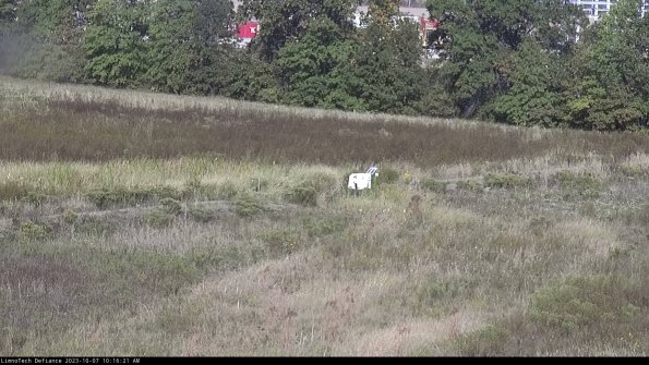 Cell 2 to 3_23-10-07_10-16-22-14