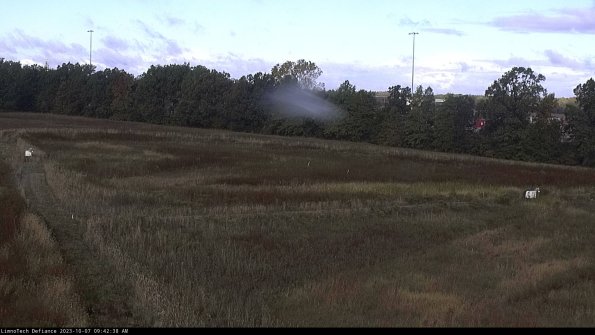 Cell 2_23-10-07_09-42-39-04