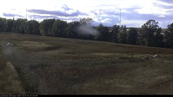 Cell 2_23-10-07_17-31-31-03