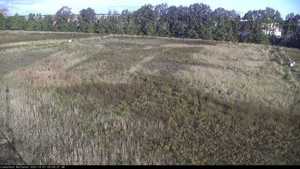 Cell 3_23-10-07_09-09-38-22