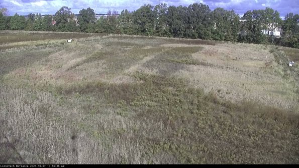 Cell 3_23-10-07_10-16-36-99