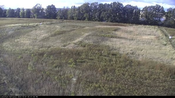 Cell 3_23-10-07_17-31-58-99