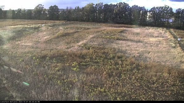 Cell 3_23-10-07_18-38-57-25