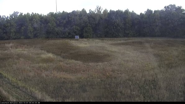 Cell 4_23-10-07_09-43-34-99