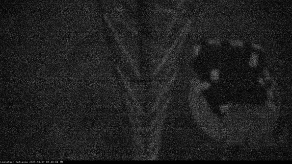 Hatch_23-10-07_19-48-04-98