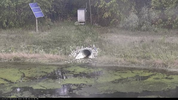 Basin Inflow_23-10-08_14-12-47-18